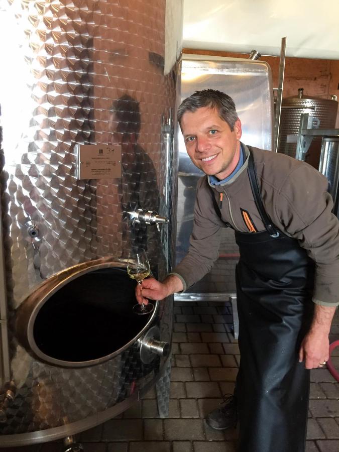 Appartamento Wohnen Auf Dem Weingut - Klein Und Fein - Wengertssube Maring-Noviand Esterno foto